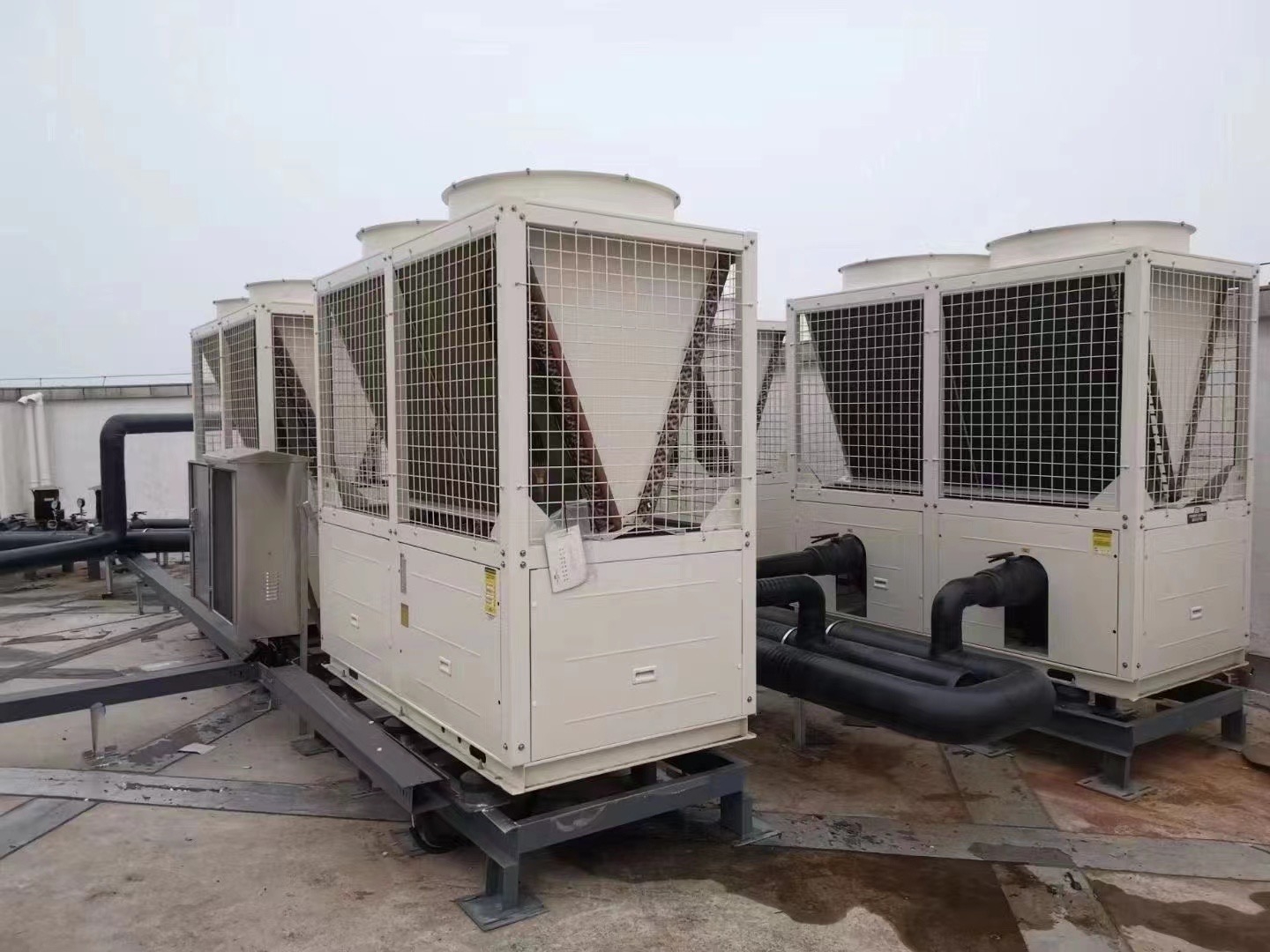 6def4ea8ff7e2a2a8f5156b91445105